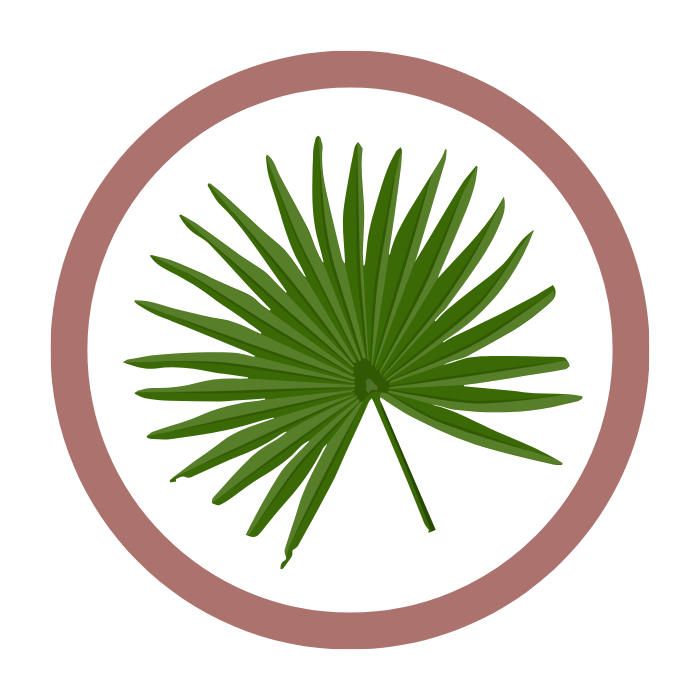 Serenoa Serrulata